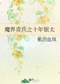 魔界奇兵之十年銀太