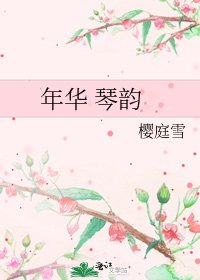 年华 琴韵