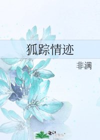 《狐踪情迹》
