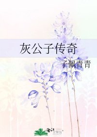 《灰公子傳奇》