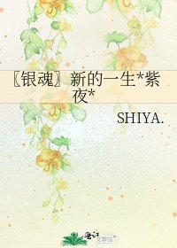 《〖銀魂〗新的一生*紫夜*》