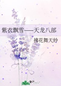 紫衣飘雪——天龙八部