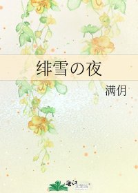 《绯雪の夜》