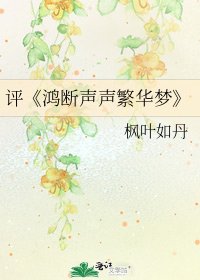鸿断声声繁华梦