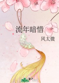 《流年暗惜》
