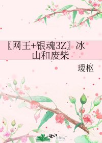 〖網王+銀魂3Z〗冰山和廢柴