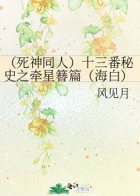 《(死神同人)十三番秘史之牵星簮篇(海白)》