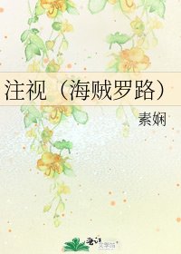 注视(海贼罗路)