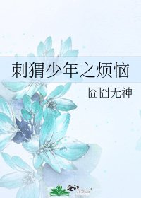 《刺猬少年之烦恼》