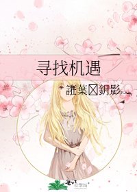 《尋找機遇》