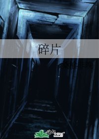 碎片