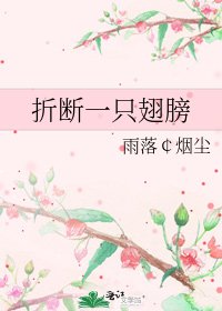 折断一只翅膀