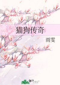 猫够传奇