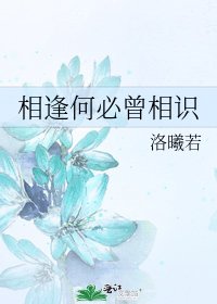相逢何必曾相識