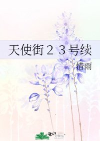 《天使街23号续》