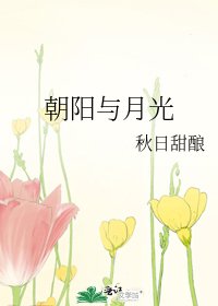 《朝阳与月光》