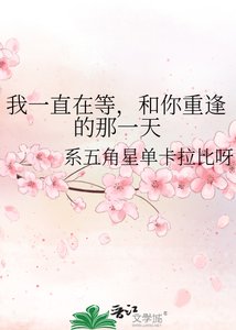 我一直在等,和你重逢的那一天