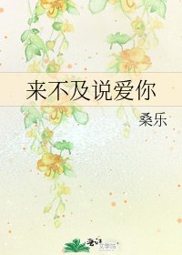 來不及說隘你