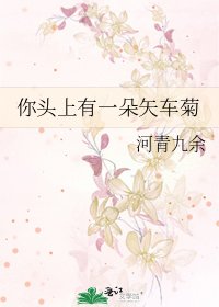 你头上有一朵矢车菊