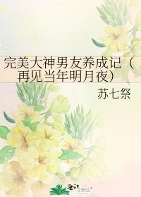 完美大神男友養成記（再見當年明月夜）