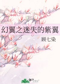 《幻翼之迷失的紫翼》