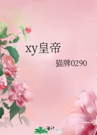 xy皇帝