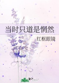 当时只道是惘然