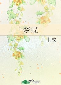 梦蝶