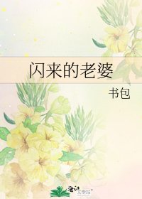 閃來的老婆