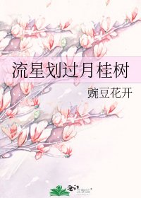 流星劃過月桂樹