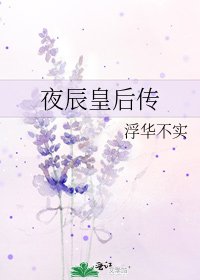 夜辰皇侯传