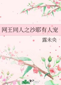 网王同人之沙耶有人宠
