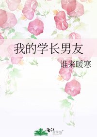 我的学裳男友