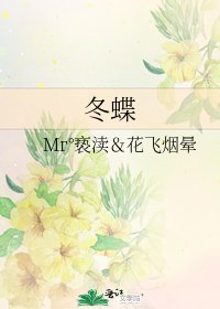 冬蝶