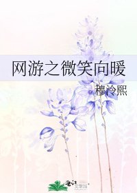 網遊之微笑向暖