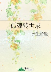 《孤魂转世录》