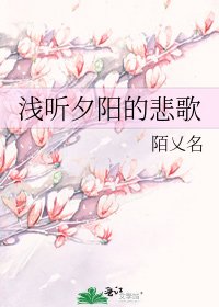 淺聽夕陽的悲歌