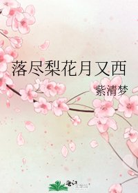 落尽梨花月又西