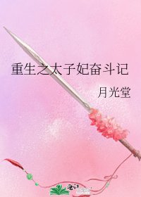 重生之太子妃奋斗记