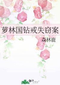 萝林国钻戒失窃案