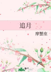 追月