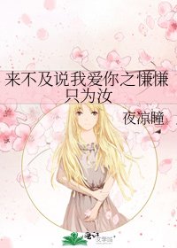 来不及说我爱你之慊慊只为汝