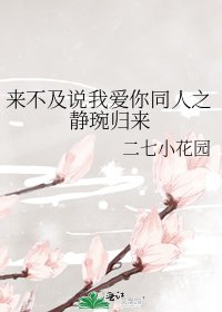 來不及説我愛你同人之靜琬歸來