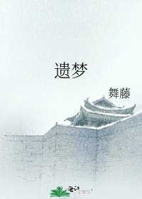 遗梦