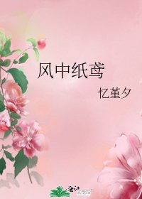 《风中纸鸢》