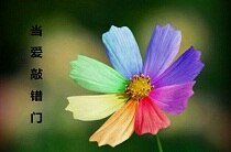 当隘敲错门