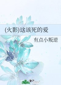 (火影)这该司的隘