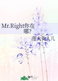 Mr.Right你在哪?