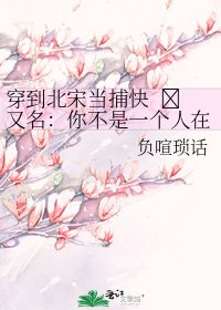 穿到北宋当捕快 又名:你不是一个人在战斗——代号891