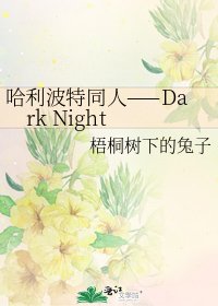 哈利波特同人——Dark Night